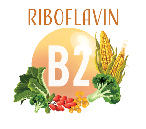 Vitamin B2, nutritional food sources